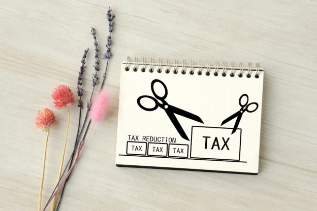 個人で会社経営しているなら税理士は要らない