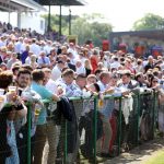 競馬の予想で重要な情報収集と万馬券を取るためのポイント