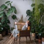 観葉植物はお手入れ方法を把握してから購入しよう